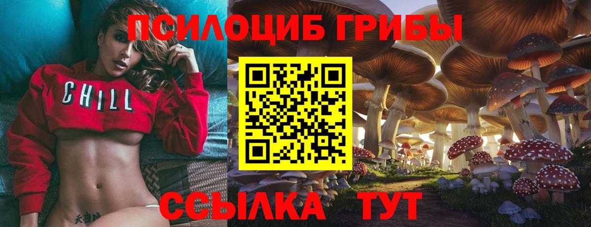 Псилоцибиновые грибы Magic Shrooms  Вход с VPN  Туймазы  Галлюциногенные грибы Magic Shrooms 